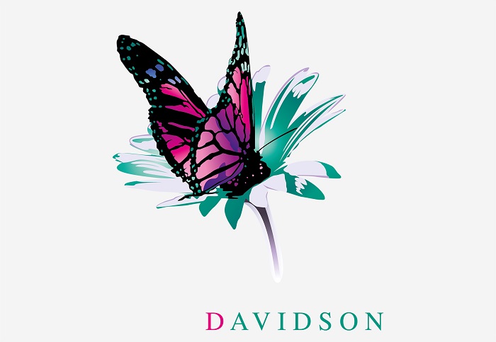 Davidson consulting