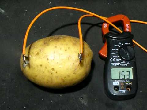 Electricite pomme de terre